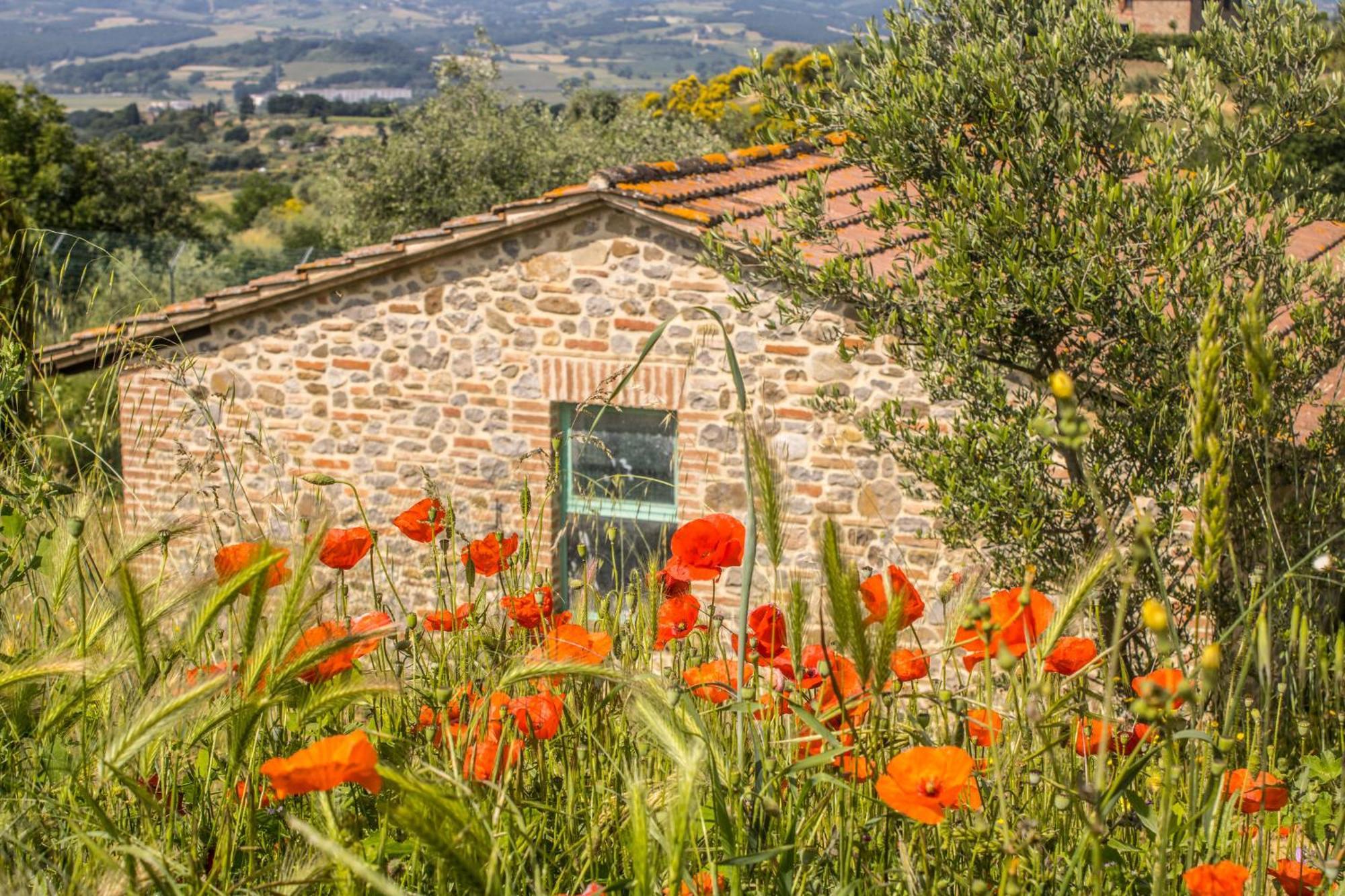 Agriturismo Dandelion Читта-делла-Пьеве Экстерьер фото