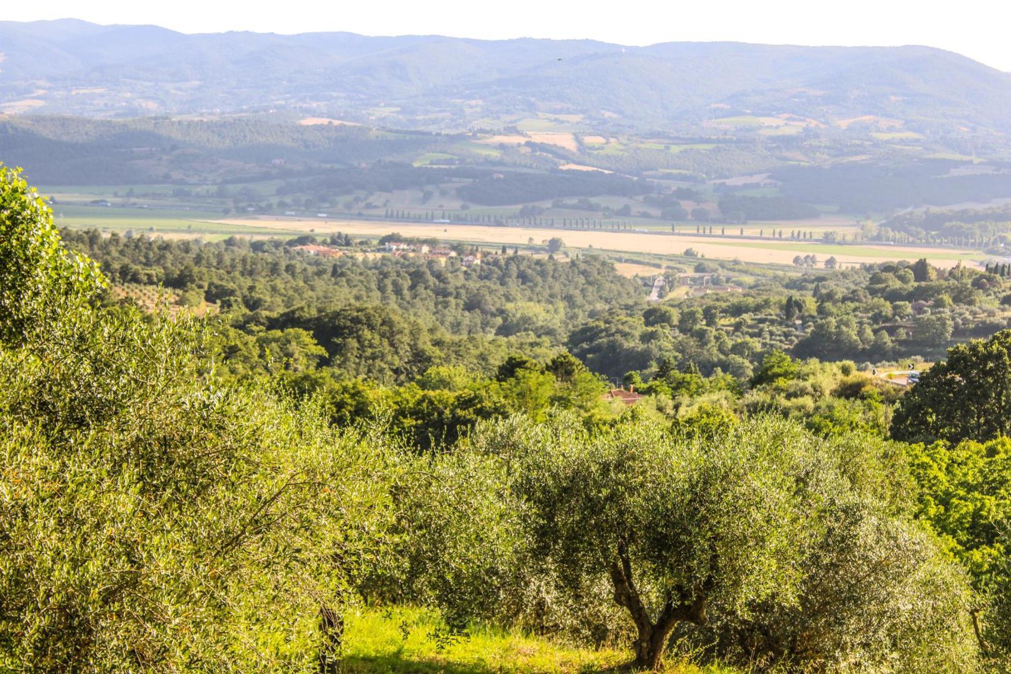 Agriturismo Dandelion Читта-делла-Пьеве Экстерьер фото